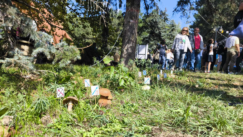 Natură și tradiții: Ce îi așteaptă pe vizitatori la Festivalul Pădurilor
