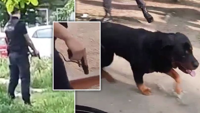 Filmare cu câinele care a atacat copii: Un polițist a scos pistolul