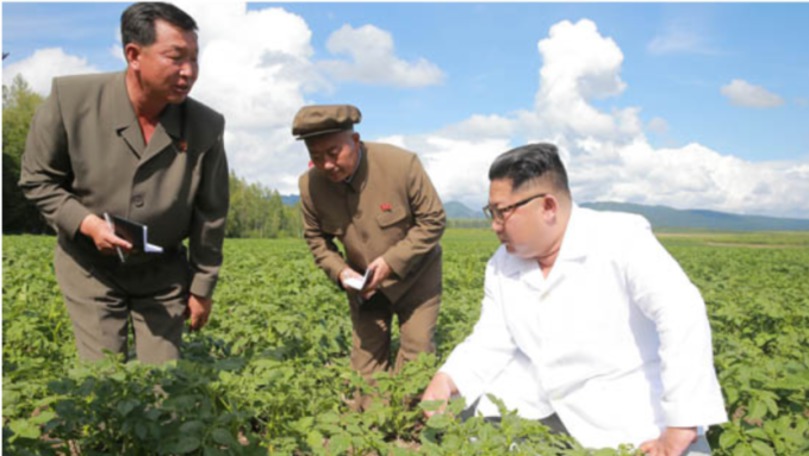 Kim Jong-un a preferat să viziteze o plantație de cartofi