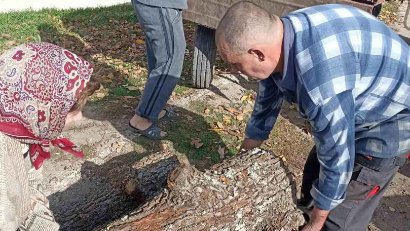 Primar din Florești, acuzat că a gestionat prost ajutoarele umanitare