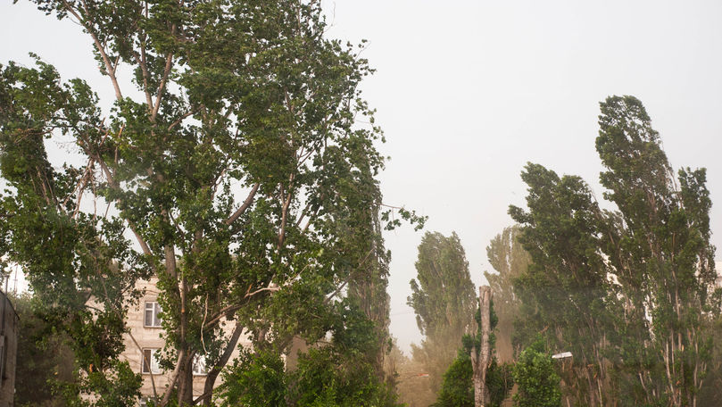 Alertă meteo: Cod Galben de vânt puternic