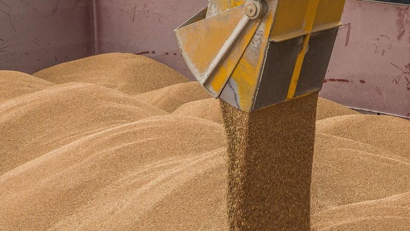 Очевидцы сообщают о вывозе из Молдовы пшеницы в больших количествах.