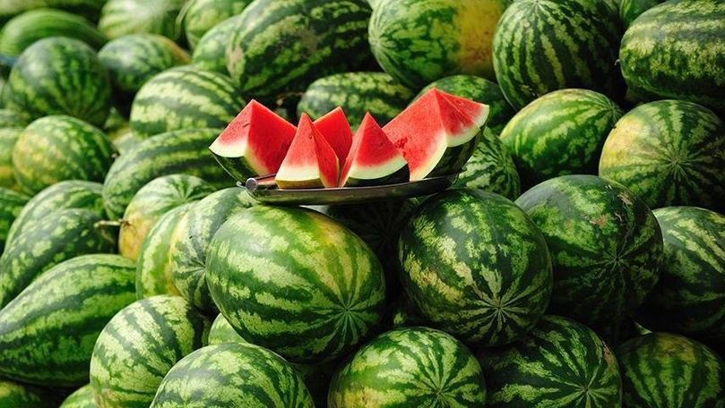 Primii harbuji moldovenești, scoși pe piață: Cât costă un kilogram