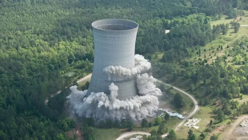 Un cuib radioactiv de viespi, descoperit lângă un fost șantier american