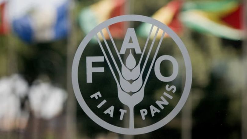 FAO susţine dezvoltarea integrată a comunităţilor în Republica Moldova