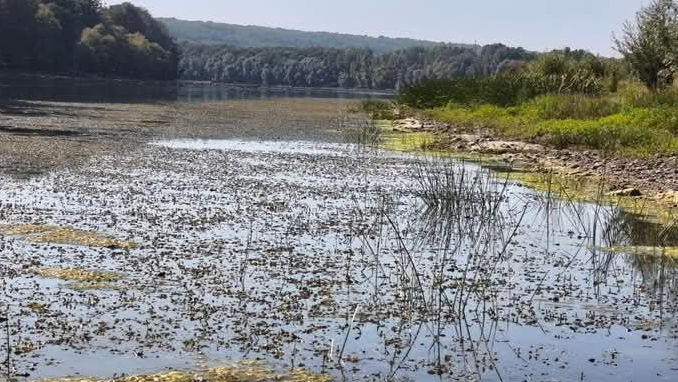 Ce a dus la scăderea apei în Nistru? Lazarencu merge la fața locului