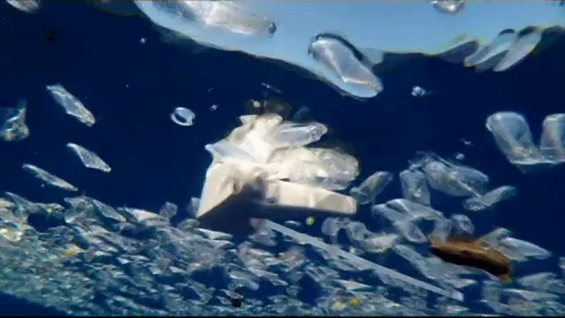 Alertă: 40.000 de sticle de plastic pe minut, aruncate în Mediterană