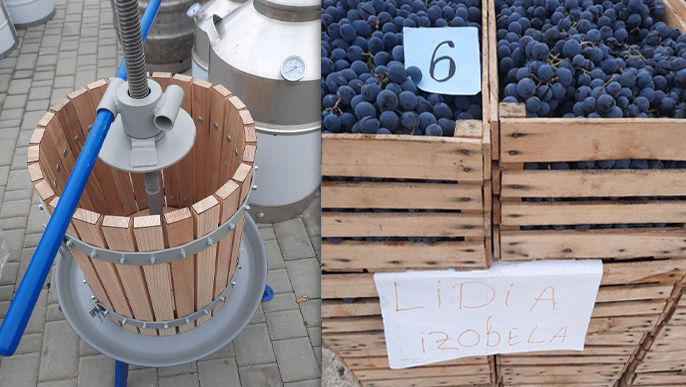Iarmaroc la Piața Avicolă: Struguri și produse de vinificație