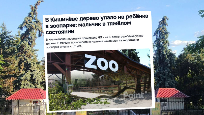 Administrația Grădinii Zoologice: Am cerut vizitatorilor să nu se apropie de zonele periculoase.