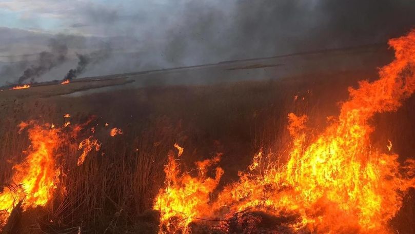 Cod Galben de incendii în R. Moldova: Avertizarea pompierilor