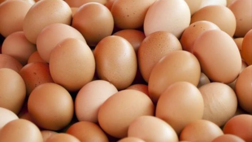 România: 300.000 de ouă, contaminate cu un insecticid periculos
