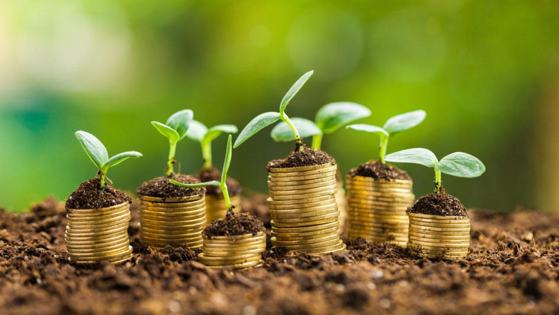 Subvenționarea în agricultură va fi reglementată de o lege nouă