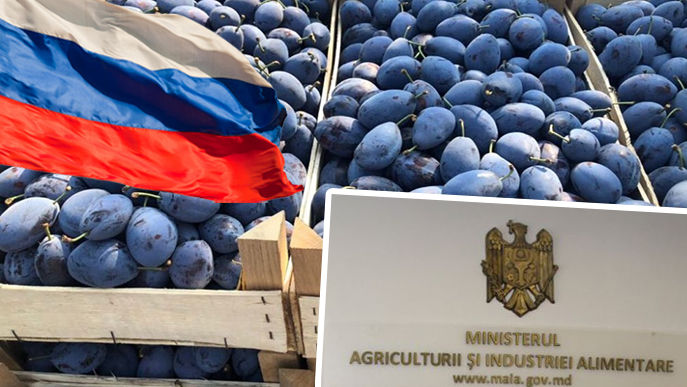 Ministerul Agriculturii cheamă la discuții Ambasada Rusiei