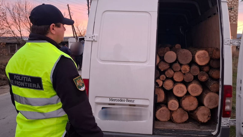 Un bărbat din Ungheni, prins cu circa 5 metri steri de lemn fără acte