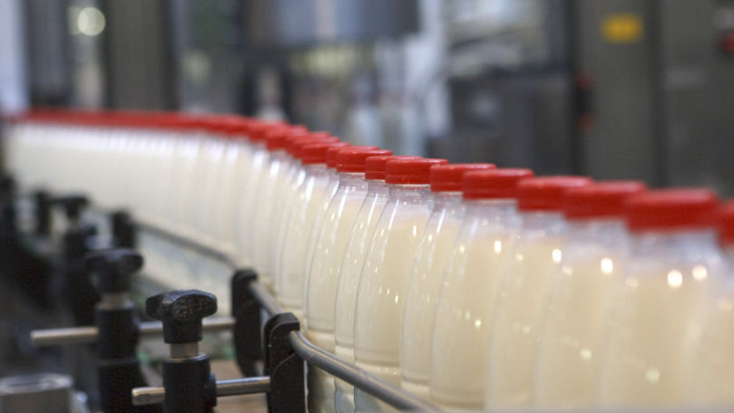 Producția de lapte în Moldova s-a redus la jumătate în ultimii zece ani.