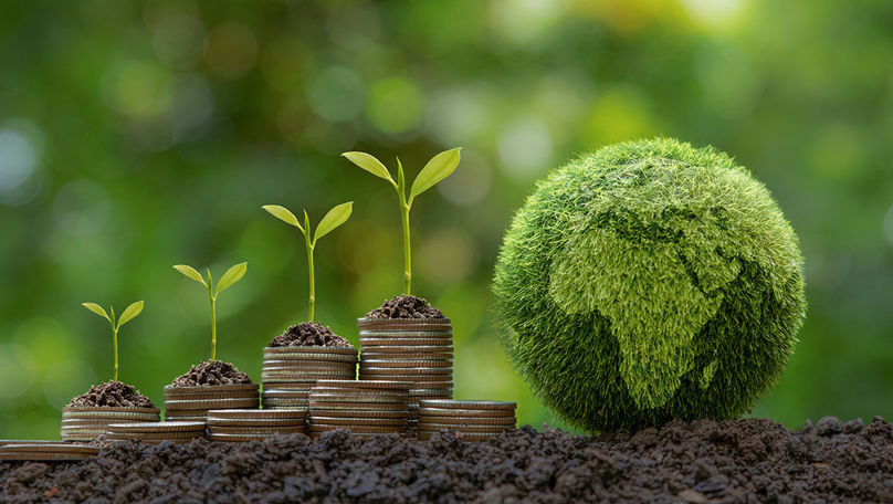 Delegația Moldovei a discutat cu reprezentanții UE despre economia verde