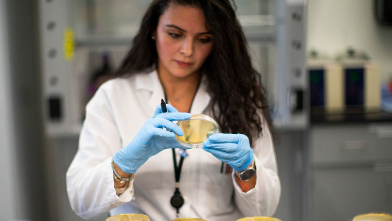 В Украине впервые выявлен субвариант COVID-19 "Цикада".