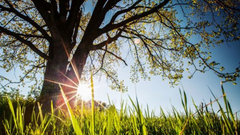 +26 ºC. Câte grade vor indica termometrele în toată republica