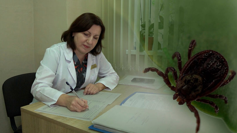 Boala Lyme, în creștere alarmantă: 249 de cazuri, înregistrate în 2024