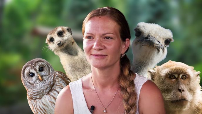 Șerpi, struți, maimuțe și alte animale, acasă la o familie din Sadaclia