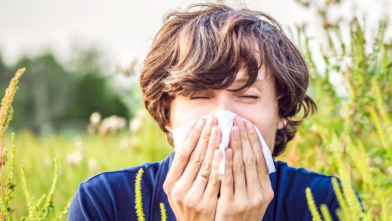 Alergia la ambrozie ar putea fi rezolvată cu un vaccin