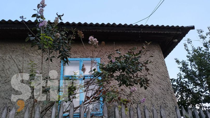 Liliac înflorit a doua oară în acest an, surprins la sudul Moldovei
