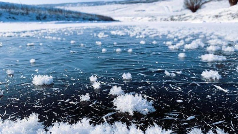 Flori înghețate, pe râul Răut: Fenomenul a fost surprins de un fotograf
