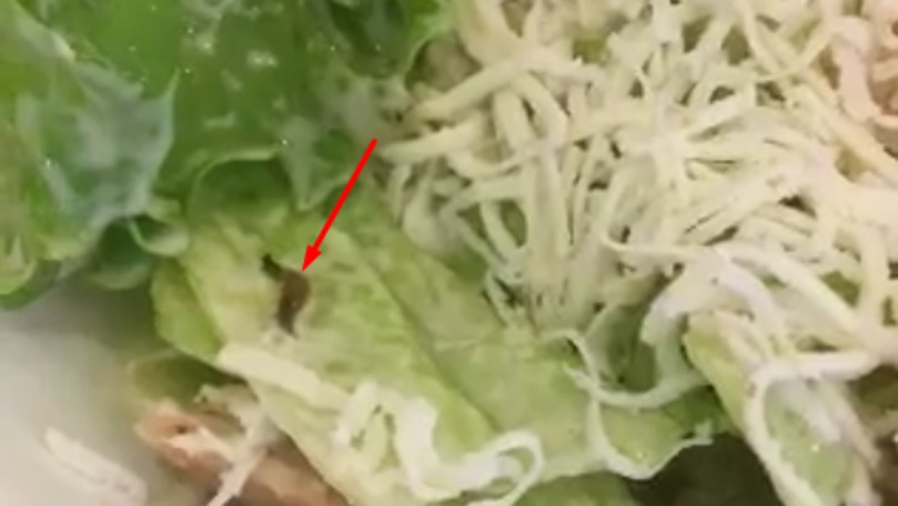 Un vierme se plimbă printr-o salată comandată într-un local din Capitală