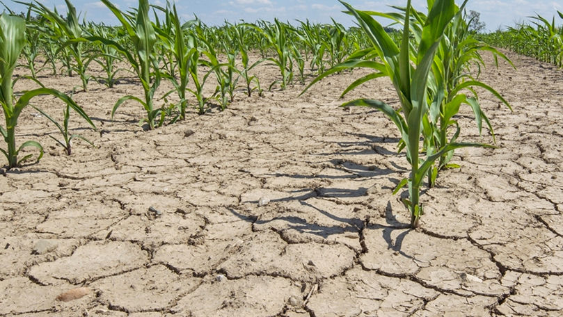 В Молдове почти 130 млн леев направят на борьбу со стихиями.