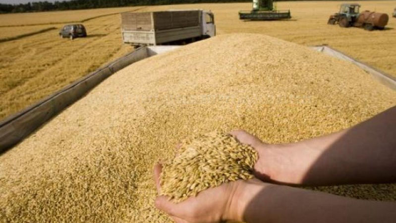 Principalii cumpărători de cereale şi oleaginoase din Moldova în 2022