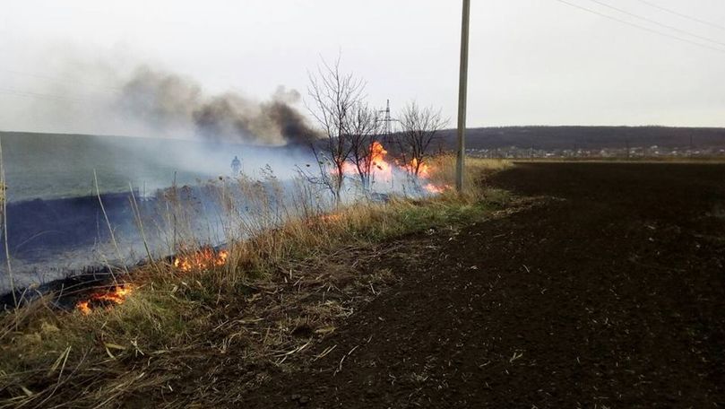 IGSU: Sute de hectare de vegetație au ars în ultimele 24 de ore