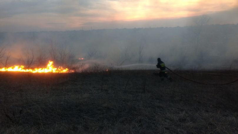 82 de focare de vegetație, stinse de pompieri în ultimele 24 de ore