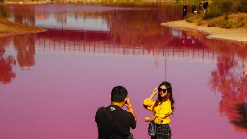 Fenomen rar întâlnit: Un lac și-a schimbat culoarea într-un roz intens