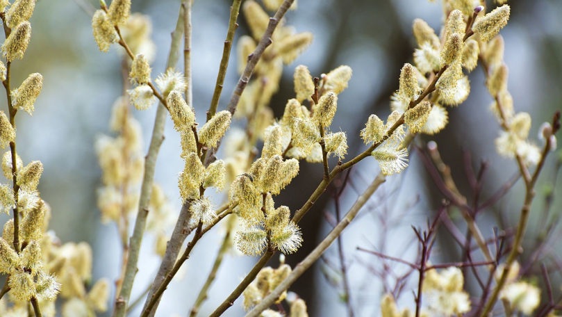 Со вторника в Молдове начинается мягкое похолодание: без осадков.