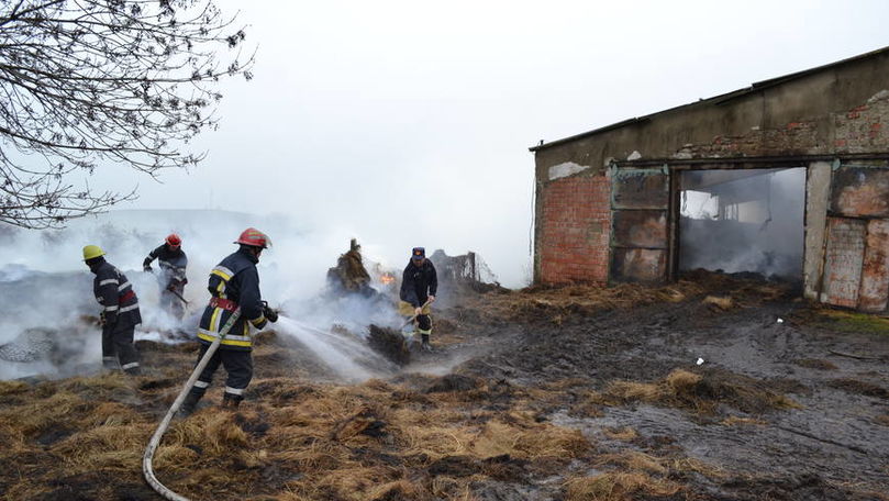 Incendiu la Leova: 35 de oi au pierit și un stog de furaje a ars