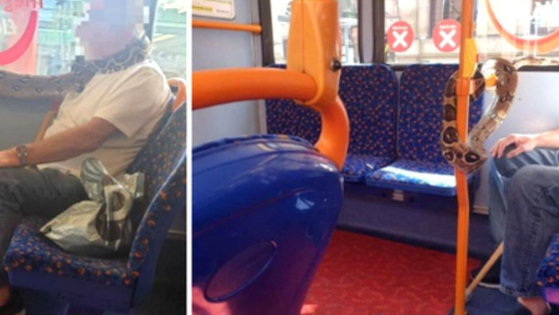 Un bărbat a urcat în autobuz cu șarpe viu pe post de mască: Nu e farsă