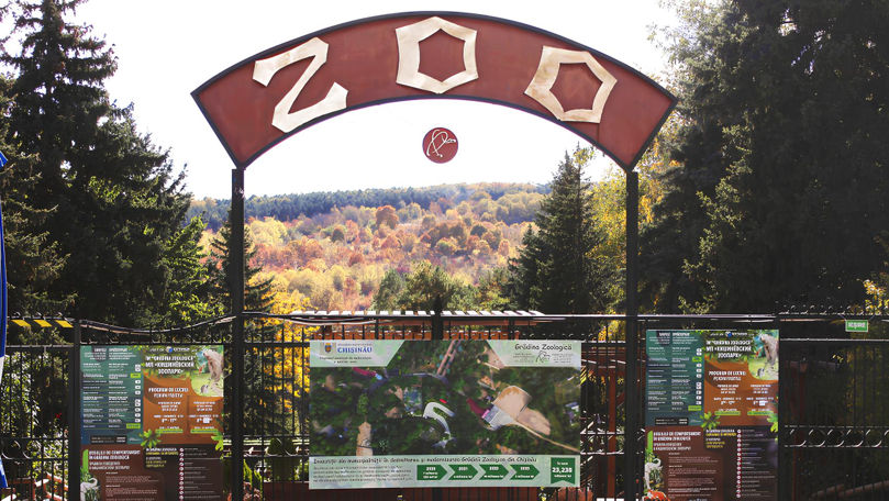Cum fac față caniculei animalele de la Grădina Zoologică din Chișinău