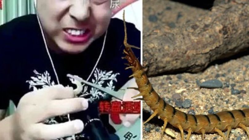 Un vlogger cunoscut a murit după ce a mâncat viermi și șopârle