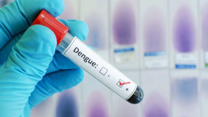 OMS, în alertă: 7,6 milioane de cazuri de febră dengue în 90 de țări