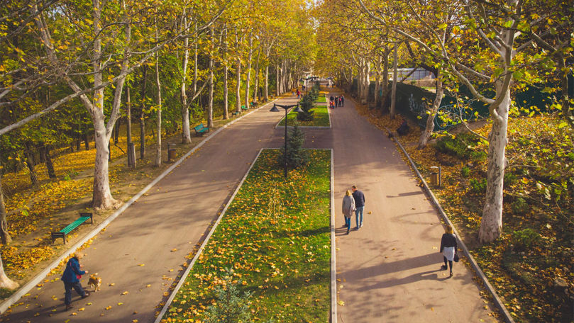 Primăria Capitalei are planificate acțiuni de plantare a arborilor