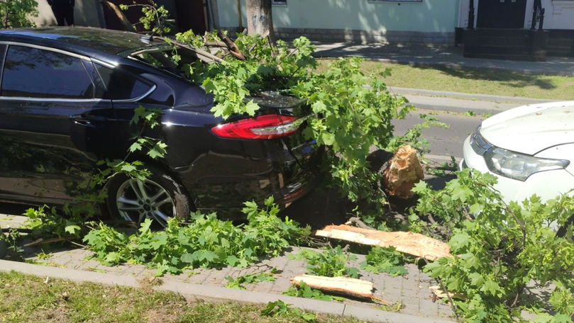 Peste mai multe mașini din Capitală au căzut crengi și copaci