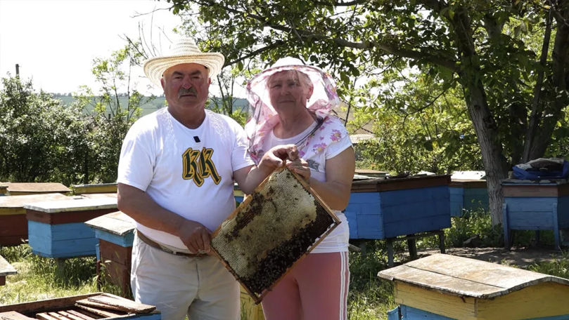 Povestea unei familii care trăiește în armonie cu albinele și natura