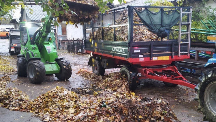 Peste 2.600 de remorci cu frunziș și deșeuri, evacuate din Capitală