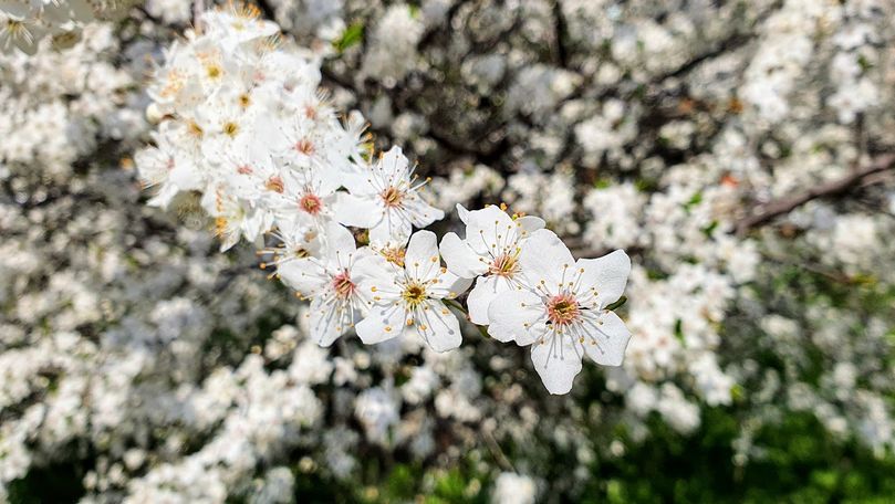 Meteo 22 aprilie 2021: Cer variabil şi maxime de +20 °C