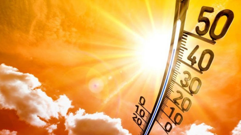 Объявлен "желтый" уровень метеоопасности из-за жары: ожидается до +33 °C.