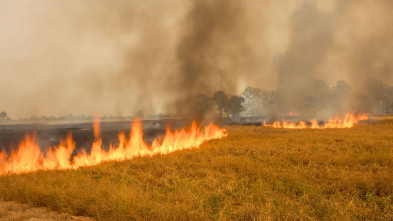 Arde un lan de grâu din Găgăuzia. Pompierii sunt la fața locului