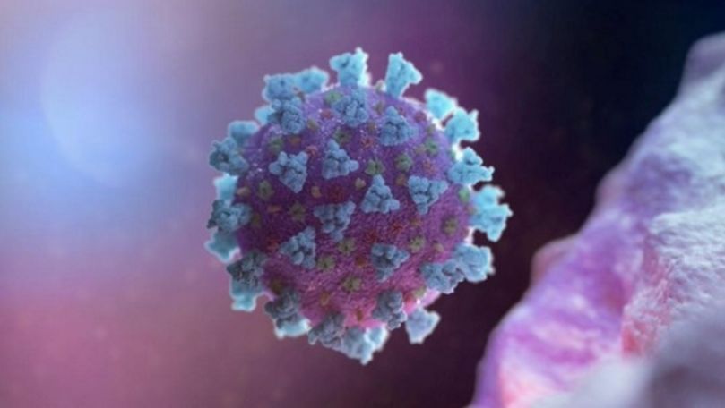 Studiu: Coronavirusul supravieţuieşte în plămânii pacienţilor decedaţi