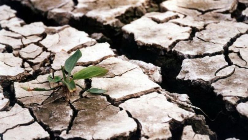 Alarmant: O parte din Europa este afectată de secetă