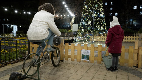 Un brad de Crăciun din Budapesta e alimentat cu energie de locuitori