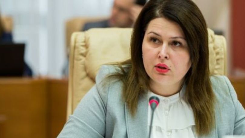 Лесник: Приднестровцы должны участвовать в политической жизни Молдовы.